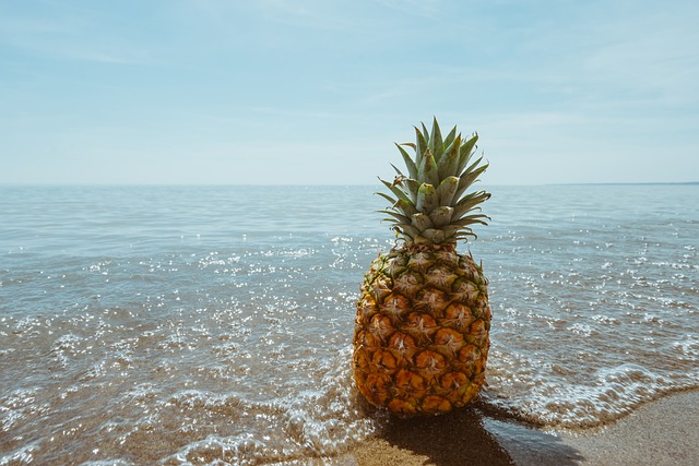 De wereld achter de ananasboom: een exotische ontdekkingsreis