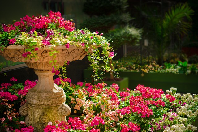 Zo plant je prachtige bloemen in je tuin